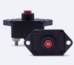 MP-Series-19